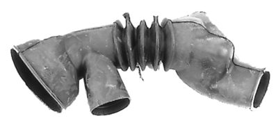 120CY19